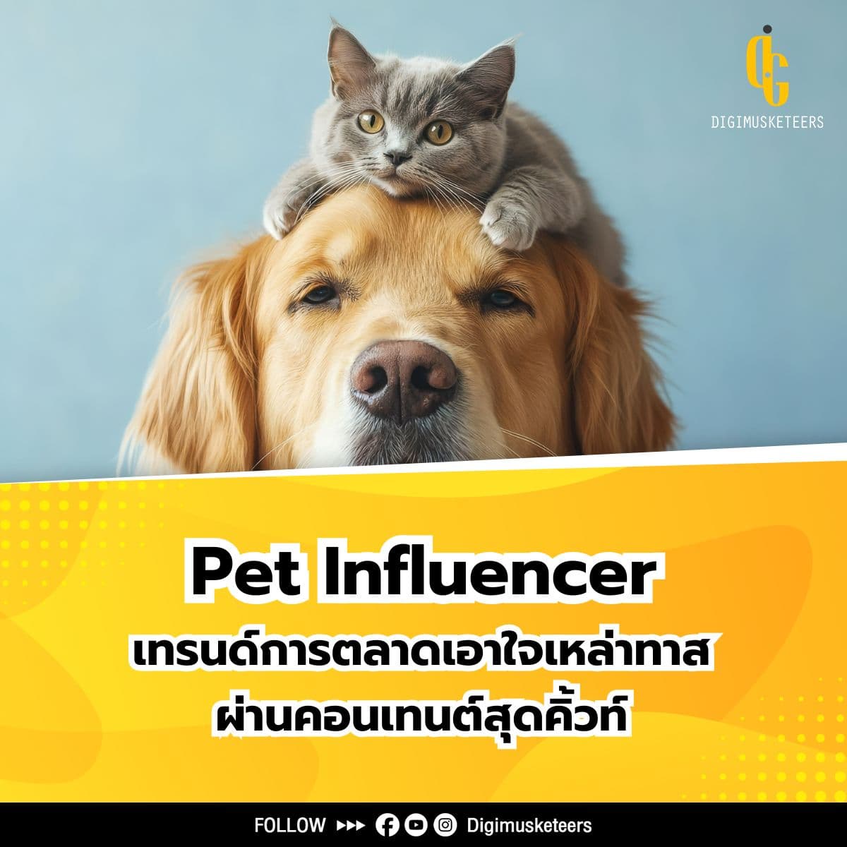 Pet Influencer เทรนด์การตลาดเอาใจเหล่าทาส ผ่านคอนเทนต์สุดคิ้วท์