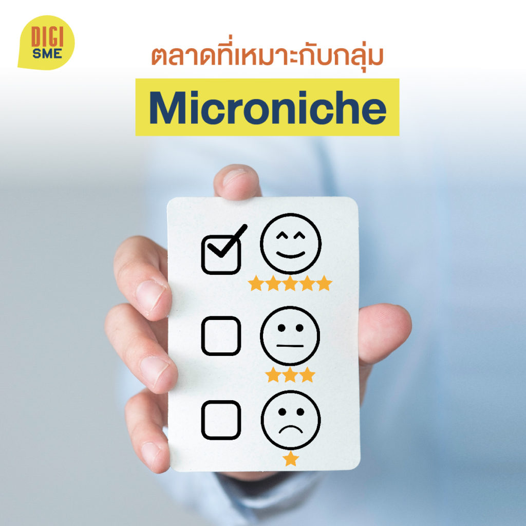 Microniche Marketing