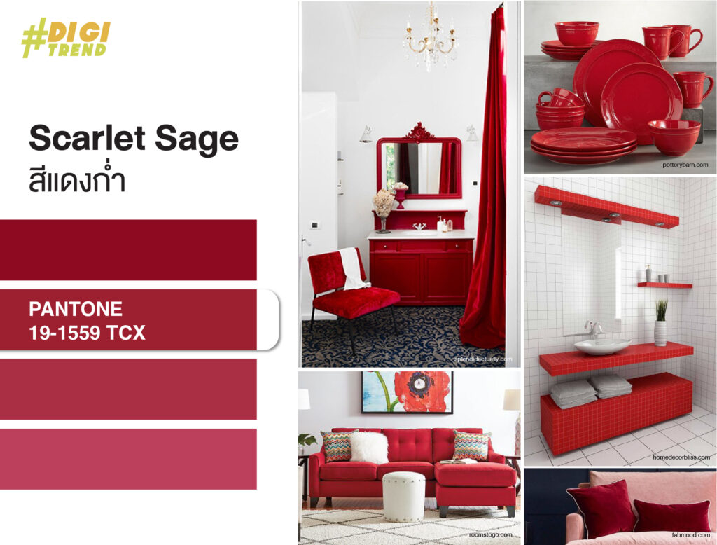 เทรนด์สี 2023 Scarlet Sage สีแดงก่ำ