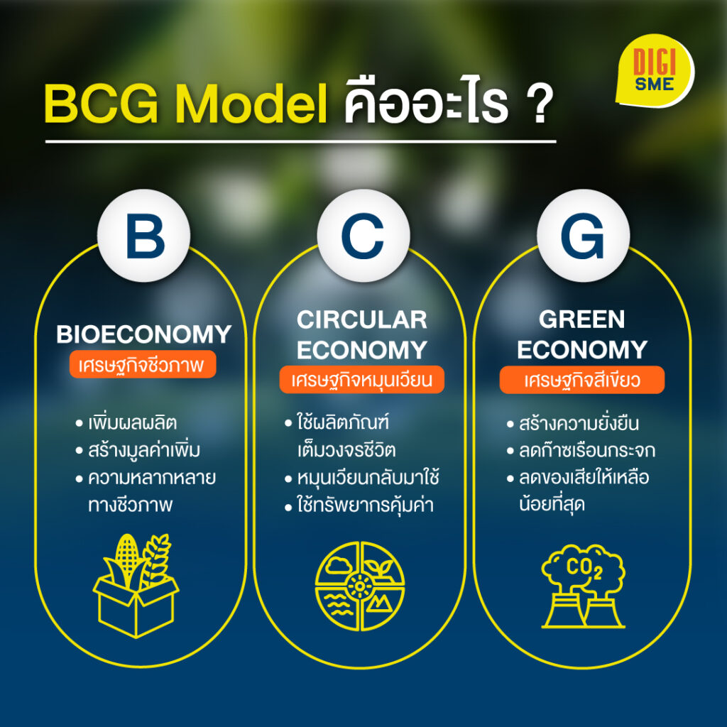 BCG Model คือ