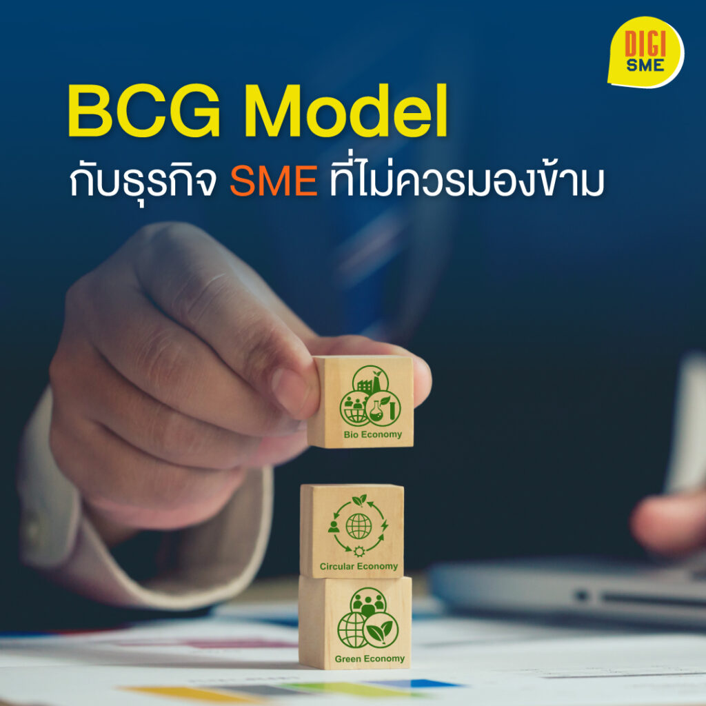 BCG Model