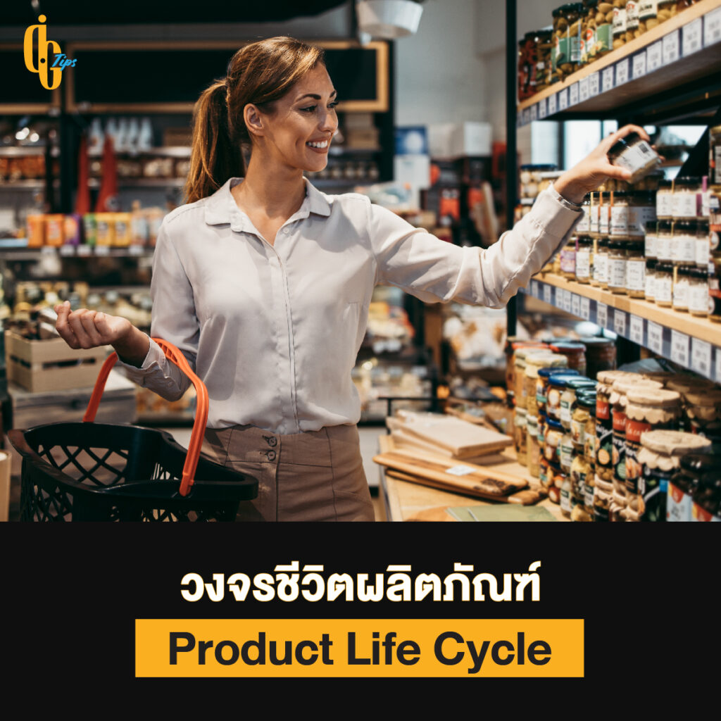 Product Life Cycle คืออะไร